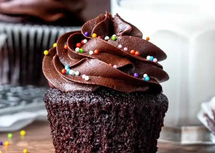 Double Chocolate Cupcakes