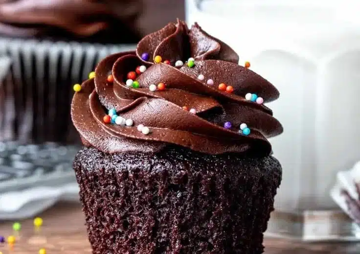 Double Chocolate Cupcakes